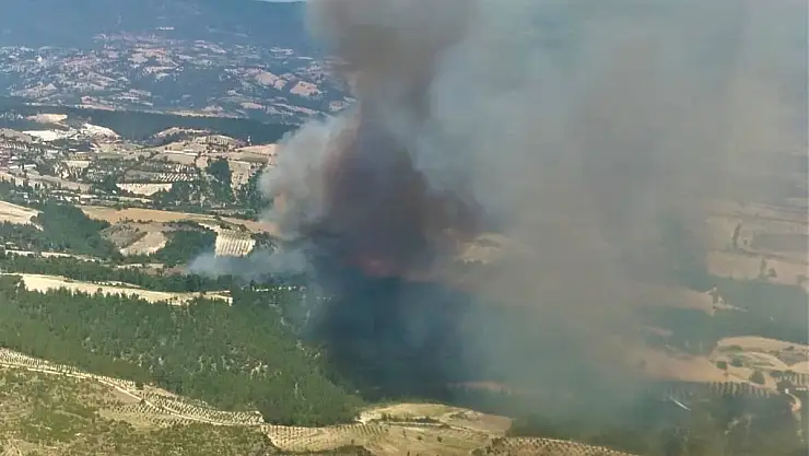 Manisa'da orman yangını çıktı