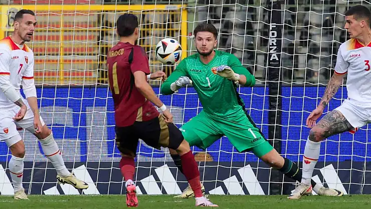 Matija Sarkic Neden Öldü?