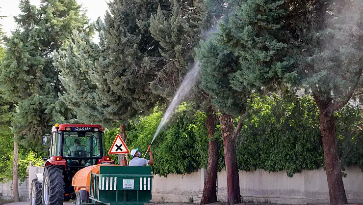 Meram Belediyesi'nden çevre sağlığı için yoğun ilaçlama mesaisi