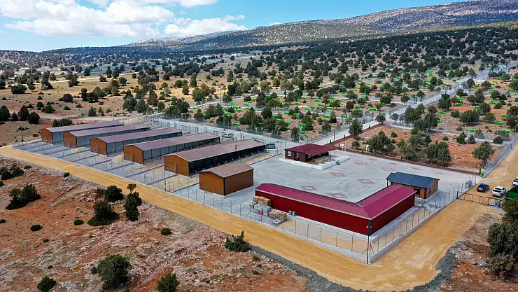 Meram Belediyesi'nden hayvan dostu çözüm: Diğer şehirler sıraya girdi