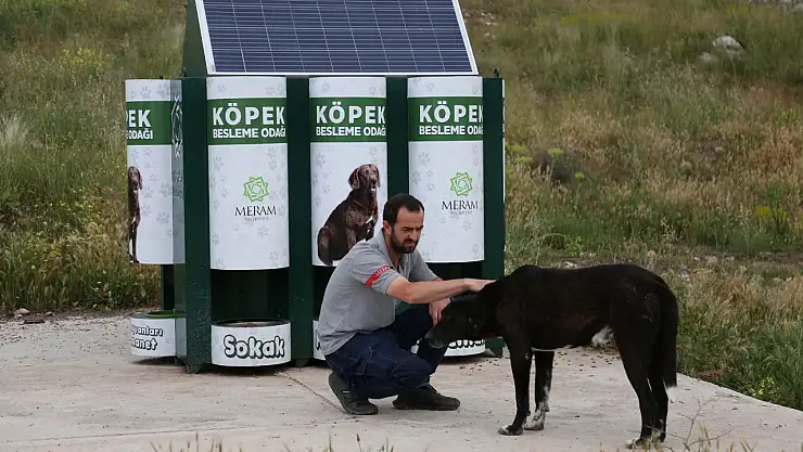 Meram Belediyesinden sokak hayvanlarına akıl dolusu yardım