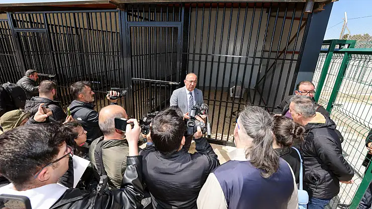 Meram'da sokak hayvanları için yeni dönem başladı