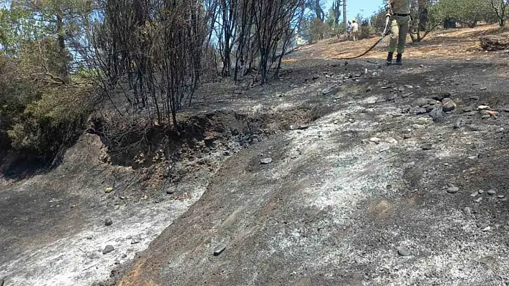 Mersin'de çıkan yangın kontrol altına alındı