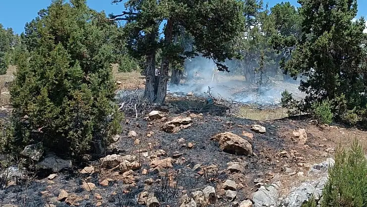 Mersin'de orman yangını söndürüldü