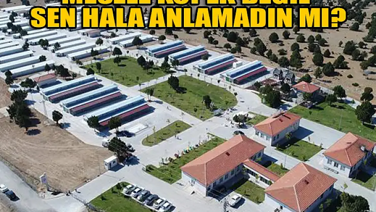 Mesele köpek değil sen hala anlamadın mı?