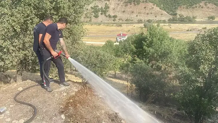 Meşelik alanda yangın!