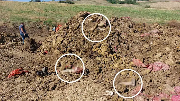 Mezarlık yanındaki drenaj çalışmasında insan ayakları bulundu!