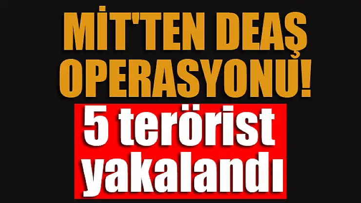 MİT'ten DEAŞ operasyonu: 5 terörist yakalandı