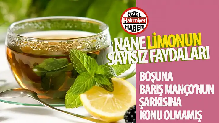Nane Limonun Faydaları: Doğal Şifa Kaynağı