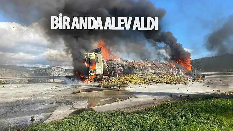 Narenciye yüklü tır bir anda alev aldı: Ürünler ziyan oldu!