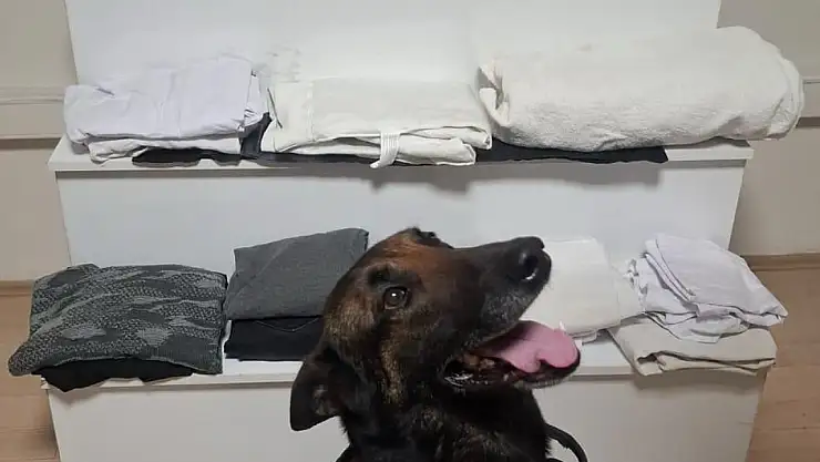 Narkotik operasyonu: 6 kilo 887 gram metamfetamin ele geçirildi