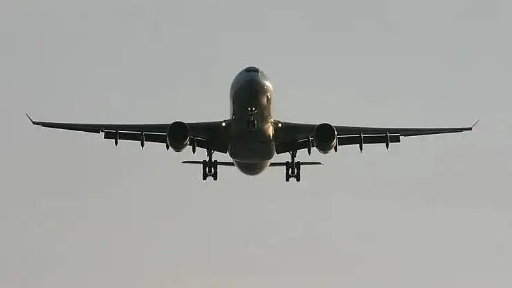 O ülkede uçakta yolcuyu akrep soktu