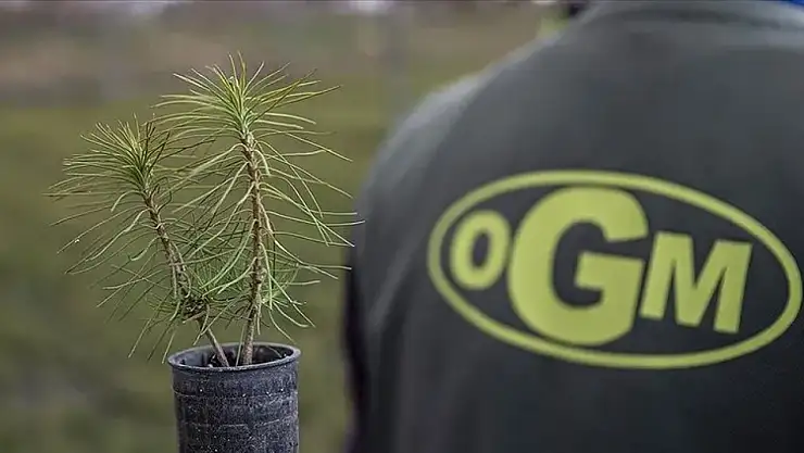 OGM 4500 işçi alımı başvuru ekranı 2025: Orman Genel Müdürlüğü işçi alımı başvuru şartları neler? Başvurular ne zaman bitiyor?