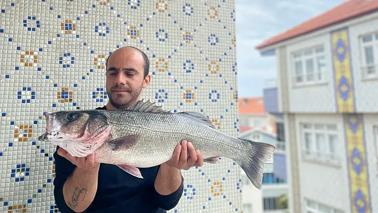 Oltayla 7,5 kiloluk dev levrek yakalandı