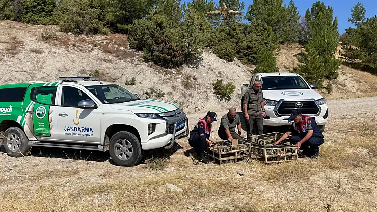 Operasyonla ele geçirilen saka kuşları doğaya salındı