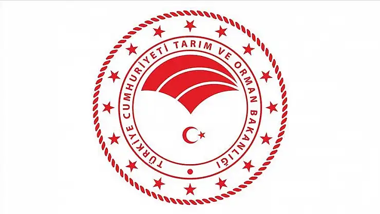 Orman Genel Müdürlüğü 249 sözleşmeli orman mühendisi alacak