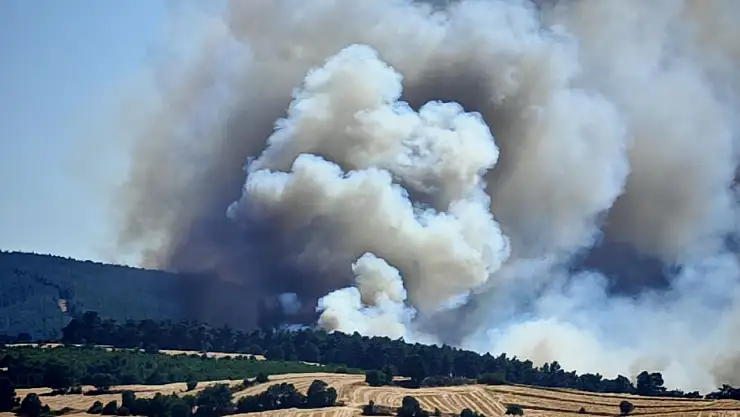 Orman ve anız yangınına müdahale sürüyor