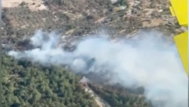 Orman yangına müdahale devam ediyor!