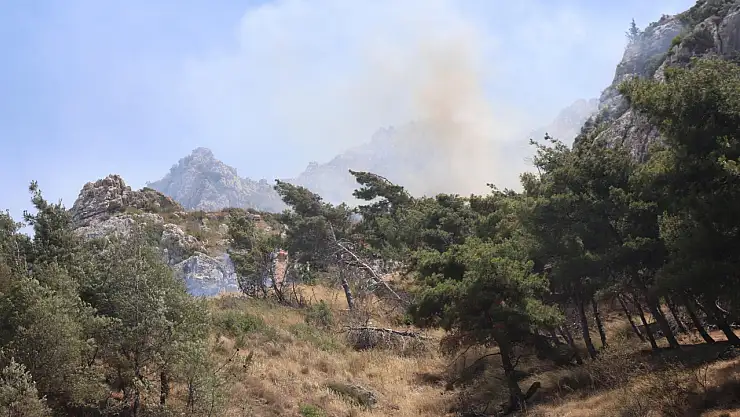 Orman yangını alarma geçirdi!