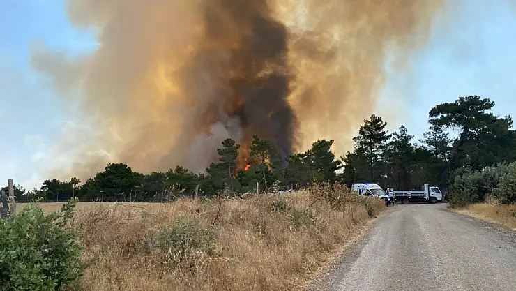 Orman yangını alarma geçirdi!