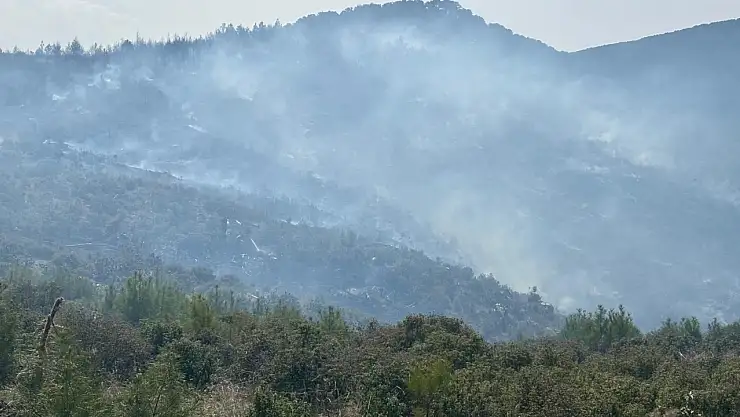 Orman yangını kontrol altına alındı