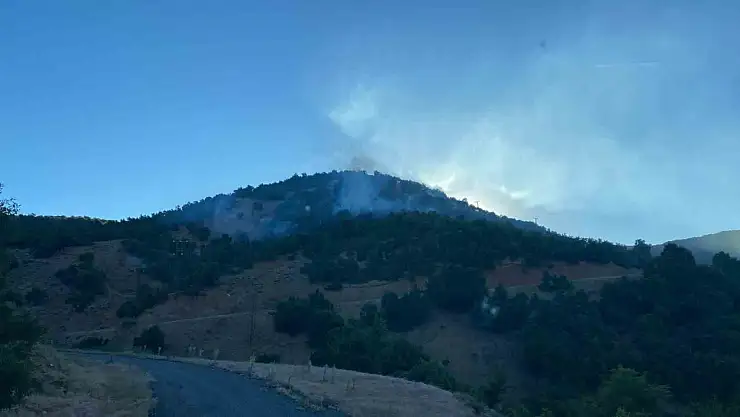 Orman yangını söndürüldü