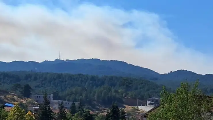 Orman yangınına müdahale devam ediyor!