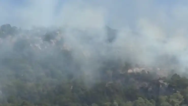 Orman yangınına müdahale ediliyor!