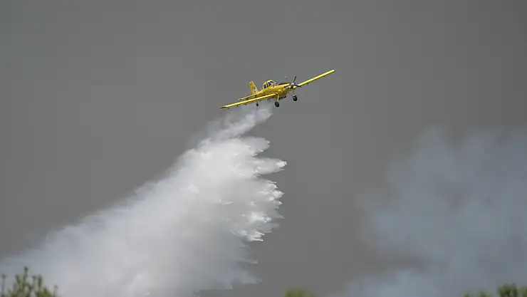 Orman yangınına müdahale sürüyor