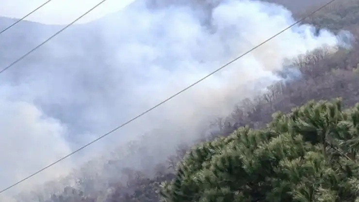 Orman yangınına müdahale sürüyor!