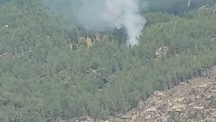 Orman yangınından güzel haber geldi!