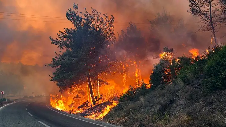 Orman Yangınlarına Bilmeden Sebep Oluyor Olabilirsiniz!