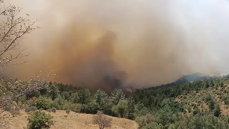 Orman yangınlarında son durum: Mersin'de yangın çıktı