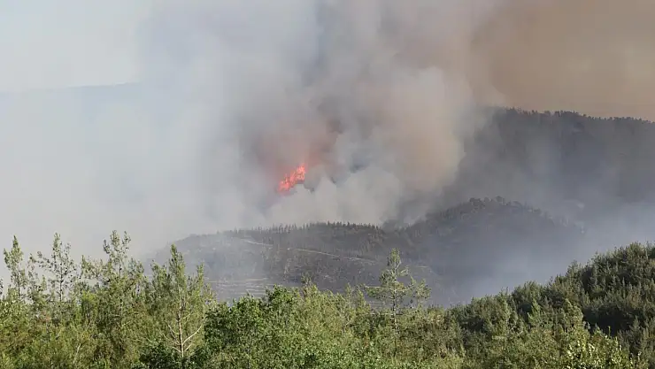 Orman yangınlarının olduğu bu günlerde Konya için kritik uyarı!