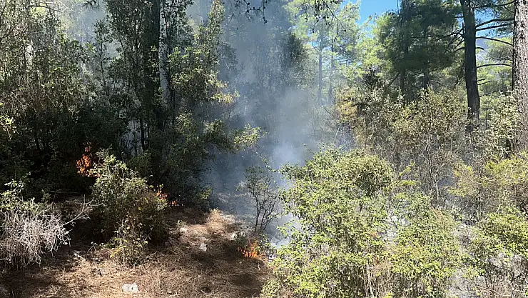 Ormana yıldırım isabet etti, yangın çıktı