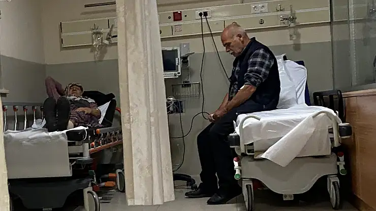 Ormandaki mantarları yiyen 7 kişi zehirlendi