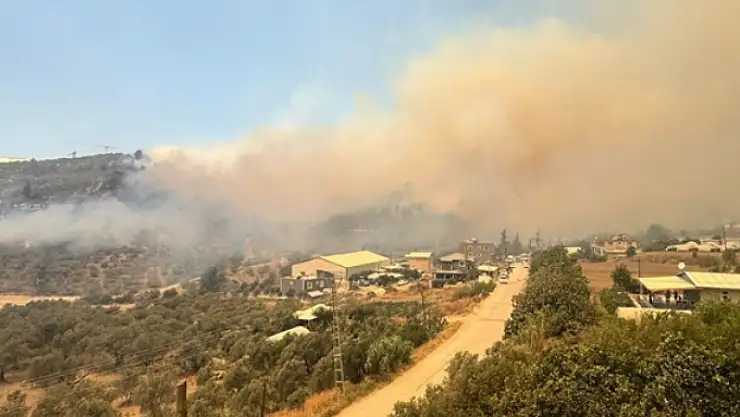 Ormanlık alan yangına teslim oldu!