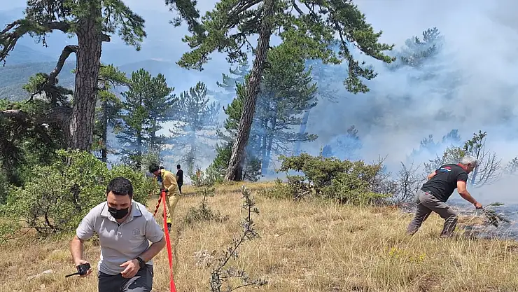 Ormanlık alanda çıkan yangın büyümeden söndürüldü