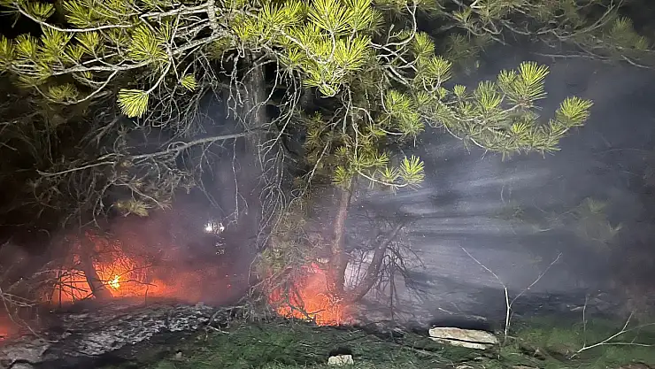 Ormanlık alanda çıkan yangın sonrası ekipler alarma geçti!