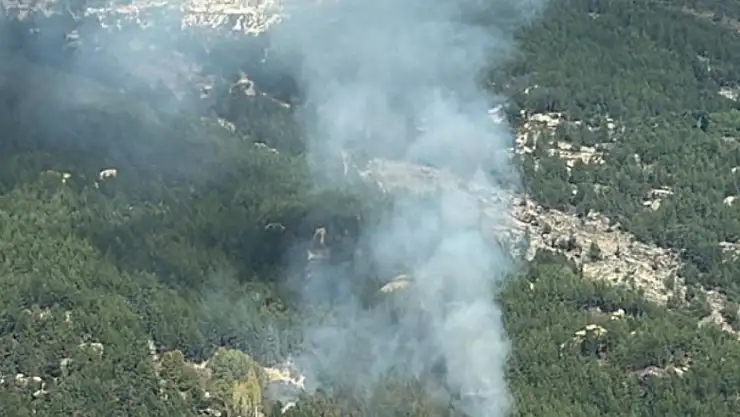 Ormanlık alanda korkutan yangın: Ekipler harekete geçti!