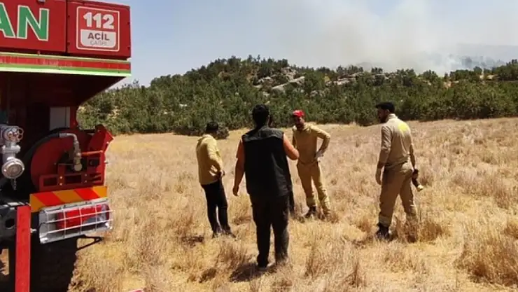 Ormanlık alanda yangın: Çok sayıda ekip sevk edildi!