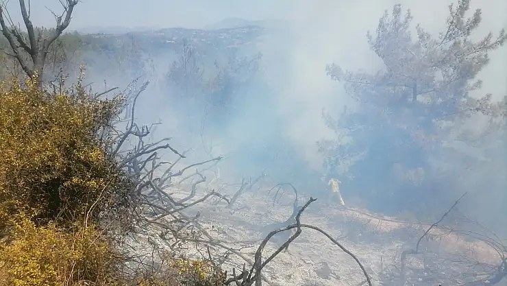 Osmaniye'de korkutan yangın