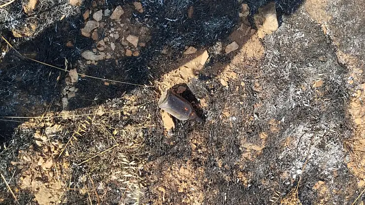 Otluk alanda çıkan yangın paniğe neden oldu