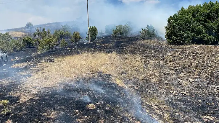 Otluk alanda yangın! Nedeni şoke etti...