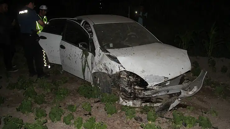 Otomobil ağaca çarpıp sebze bahçesine girdi: 5 yaralı