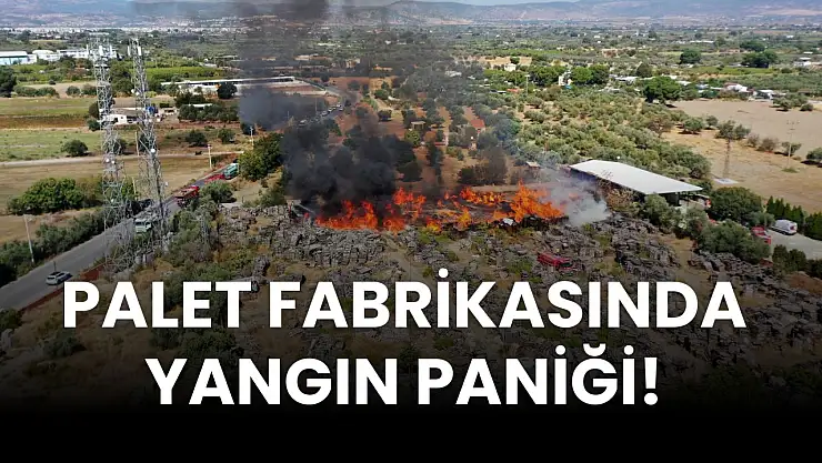 Palet fabrikasında yangın paniği: Müdahale sürüyor!
