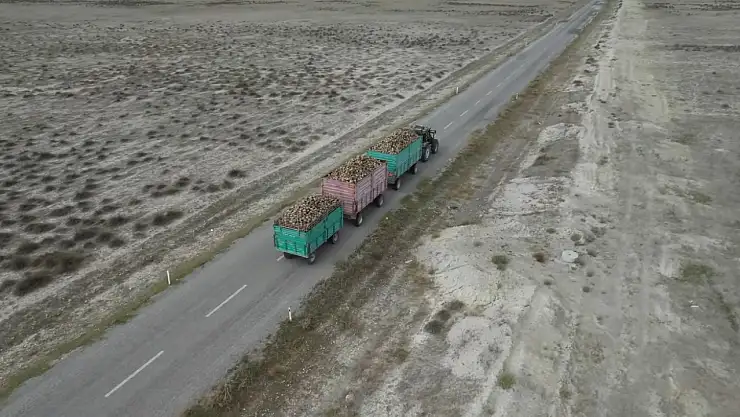 Pancar sezonundaki çiftçilere müjde! Belediye başkanı duyurdu...