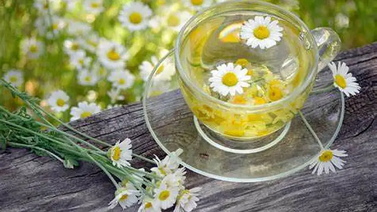 Papatya çayı nasıl hazırlanır ve faydaları nelerdir?