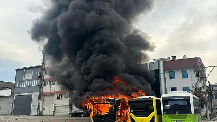 Park halindeki 3 otobüs alevlere teslim oldu