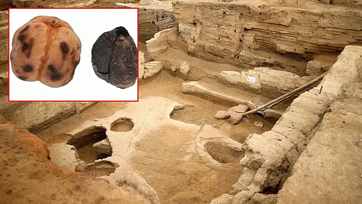 Pilavın yanında bile ekmek yiyen Konyalıların sırrı çözüldü! 8 bin 600 yıl öncesine dayanıyor